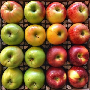 A top-down view of the Apple Package bursting with goodness, featuring 16 fresh apples arranged in a vibrant 4x4 grid. Delight in the rich spectrum of colors from crisp green to golden yellow and ruby red, each apple nestled securely in eco-friendly cardboard compartments. Perfect for fruit salads, juices, snacks, smoothies, whole fruit packs, or delectable desserts—every bite promises healthful freshness straight from nature to you.