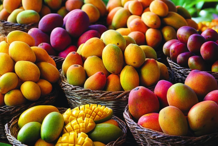 The Amazing Mango: Nature’s Best Healthy Fruit and Its Incredible Benefits